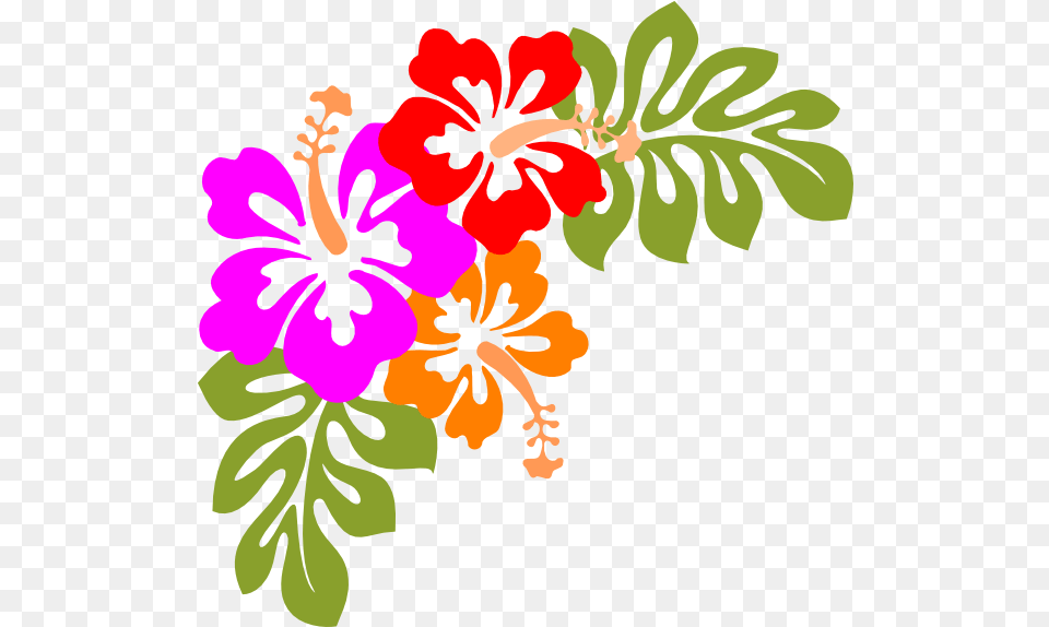 Hawaiian Flower Clipart Hawaiian Flower Stencil, Plant, Hibiscus, Pattern, Art Free Png Download