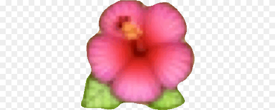 Hawaiian Flower Emoji Icon, Petal, Plant, Hibiscus, Anemone Free Png Download