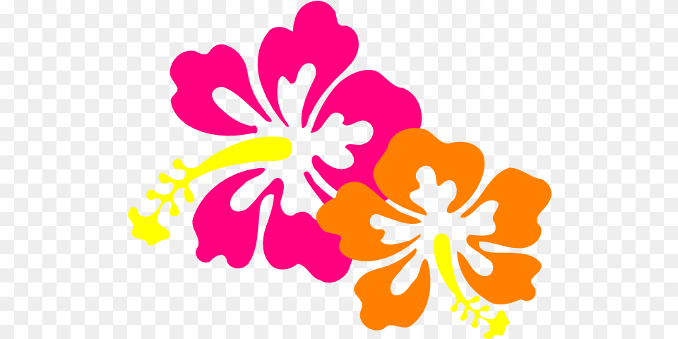 Hawaiian Flower Hawaiian Flower Cartoon, Hibiscus, Plant Free Png Download