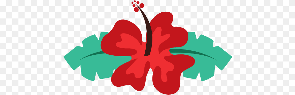 Hawaiian Flower Natural Natural Foods, Hibiscus, Plant, Geranium Png