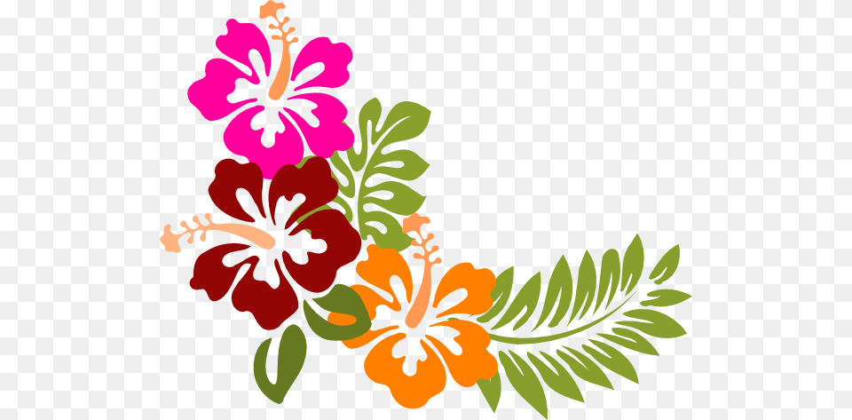 Hawaiian Flower Pattern Pink Hibiscus Clip Art Pic Clker, Graphics, Plant, Floral Design, Herbs Free Png Download