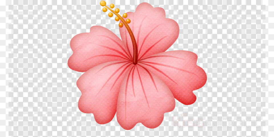 Hawaiian Flower Background, Anther, Plant, Hibiscus, Petal Free Transparent Png