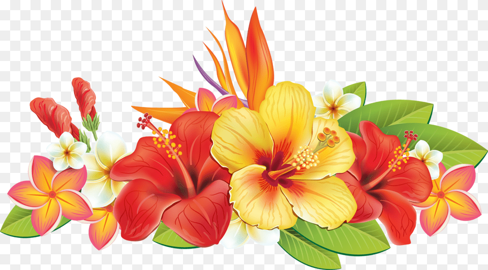 Hawaiian Flower Vector, Plant, Flower Bouquet, Flower Arrangement, Graphics Free Transparent Png