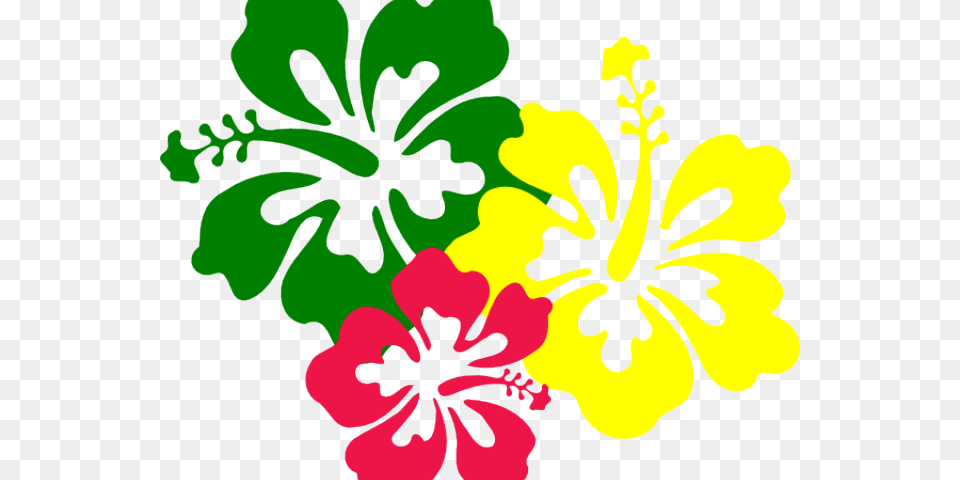 Hawaiian Flower Vector, Hibiscus, Plant, Person Free Png Download