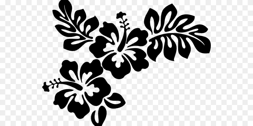 Hawaiian Flower Vector Hibiscus Clip Art, Plant, Pattern, Blackboard, Floral Design Png Image