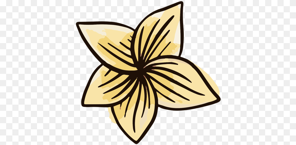 Hawaiian Flower Watercolor U0026 Svg Vector File Como Dibujar Flores Hawaianas Paso A Paso, Plant, Daffodil Free Transparent Png