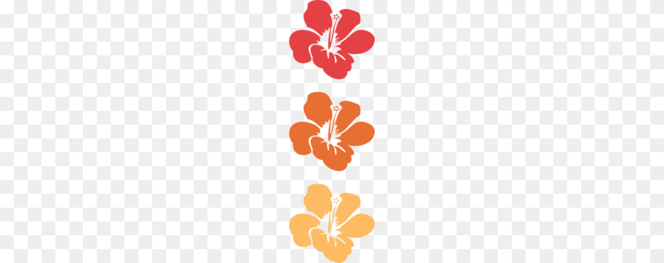 Hawaiian Flowers, Anther, Flower, Hibiscus, Plant Free Transparent Png