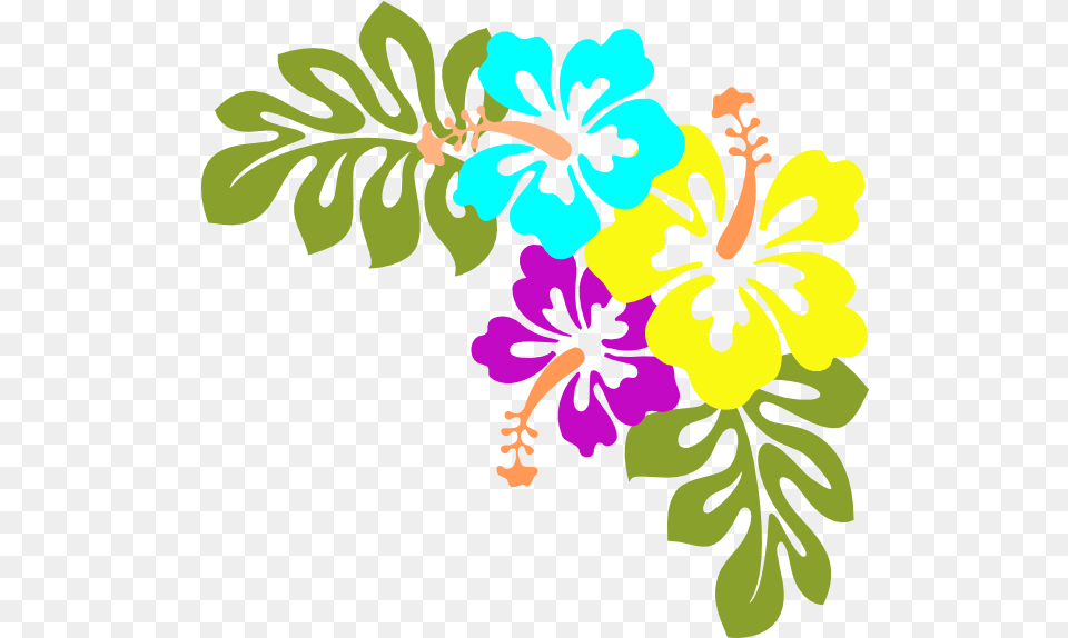 Hawaiian Flowers 2 Image Hibiscus Clip Art, Flower, Plant, Pattern, Person Free Png Download