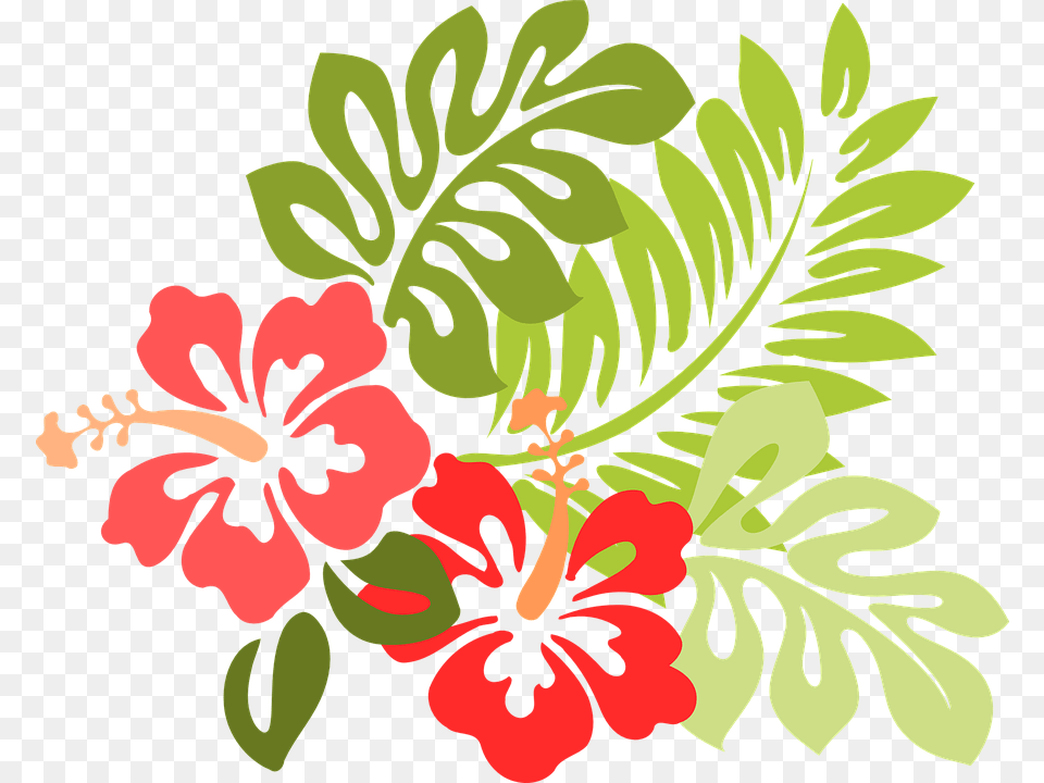 Hawaiian Flowers 3 Image Clip Art Hibiscus, Flower, Plant, Herbal, Herbs Png