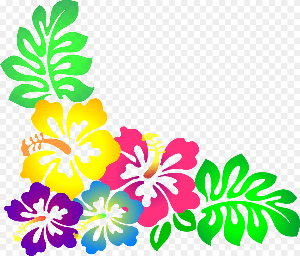 Hawaiian Flowers 4 Image Clipart Hawaiian Flowers, Flower, Plant, Hibiscus, Art Free Transparent Png