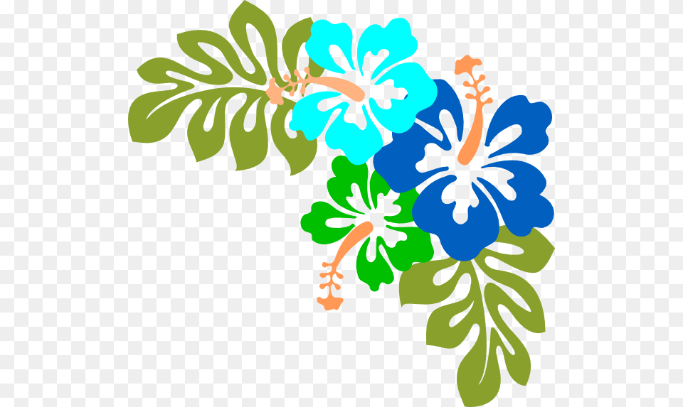 Hawaiian Flowers Background, Flower, Plant, Herbal, Herbs Free Png