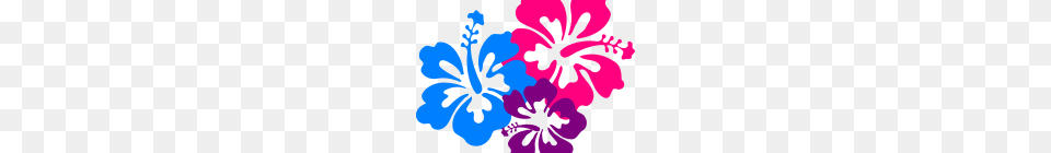 Hawaiian Flowers Clip Art Hawaiian Flower Clip Art Borders Clipart, Hibiscus, Plant, Person, Face Free Png