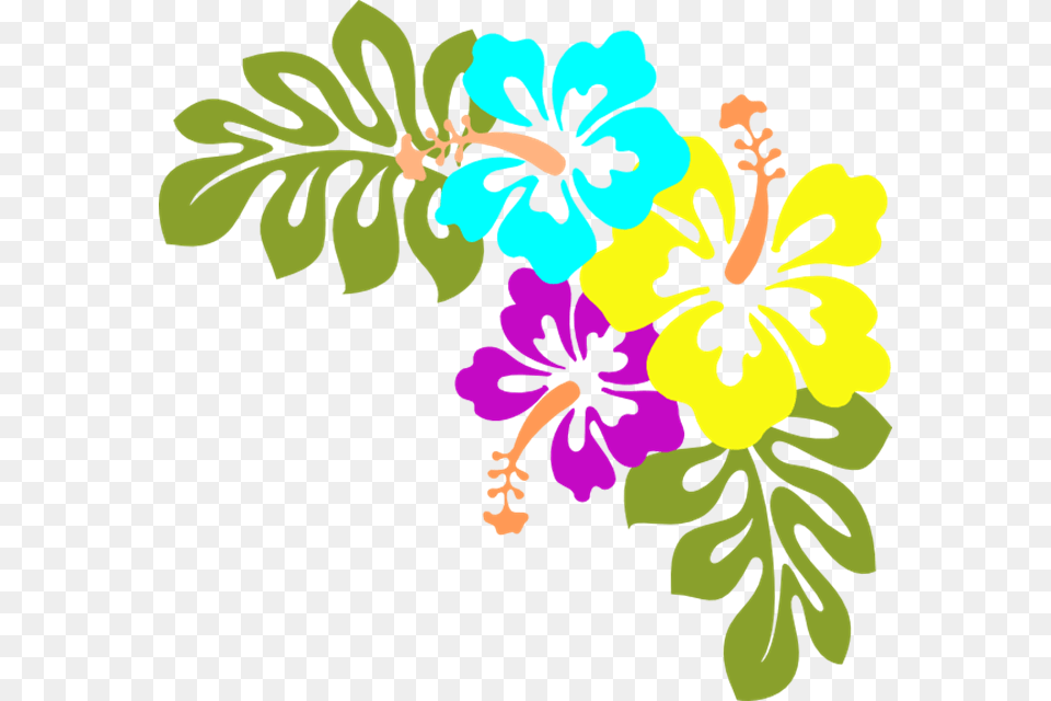 Hawaiian Flowers Clip Art Many Flowers, Flower, Plant, Hibiscus, Pattern Free Transparent Png