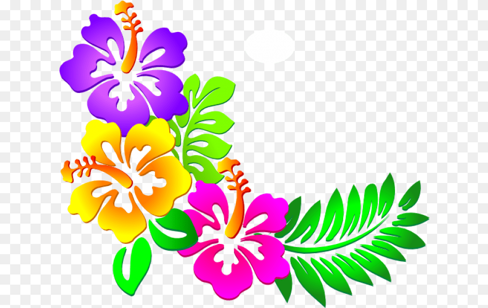 Hawaiian Flowers Clipart Image With Hawaiian Flower Clipart, Art, Graphics, Plant, Hibiscus Free Png