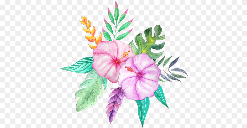 Hawaiian Flowers Clipart Vectors Watercolor Painting, Flower, Plant, Hibiscus Free Transparent Png