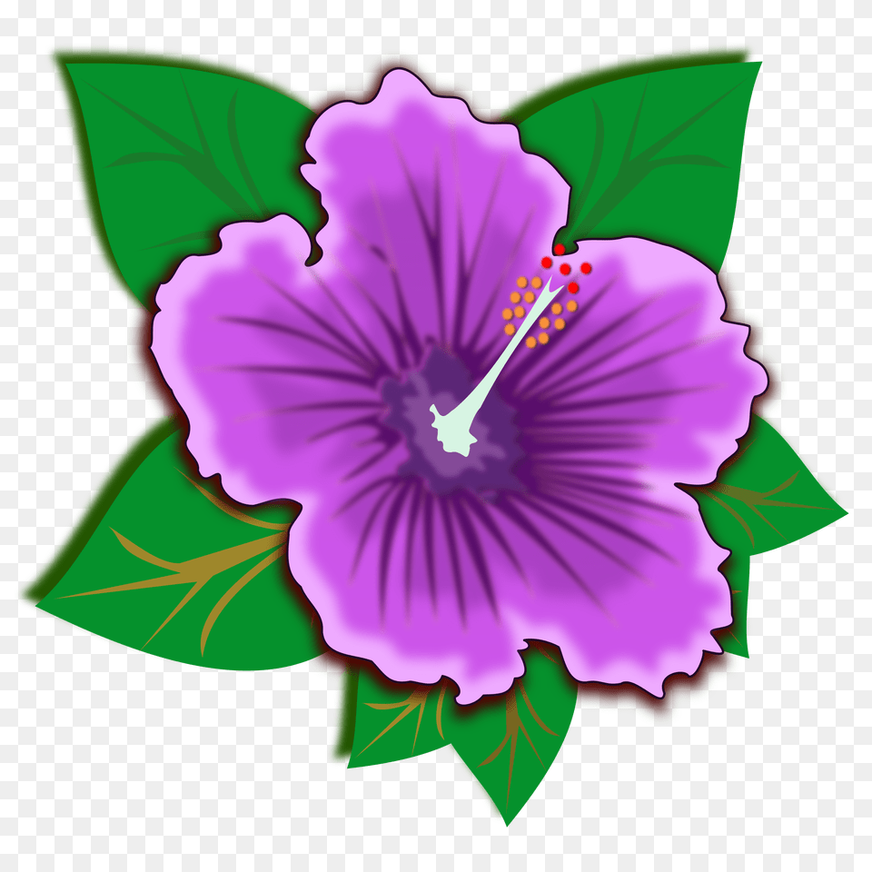 Hawaiian Flowers Hawaiian Clipart Purple Hawaiian Rainforest Plants Clip Art, Flower, Plant, Hibiscus, Anther Free Png Download