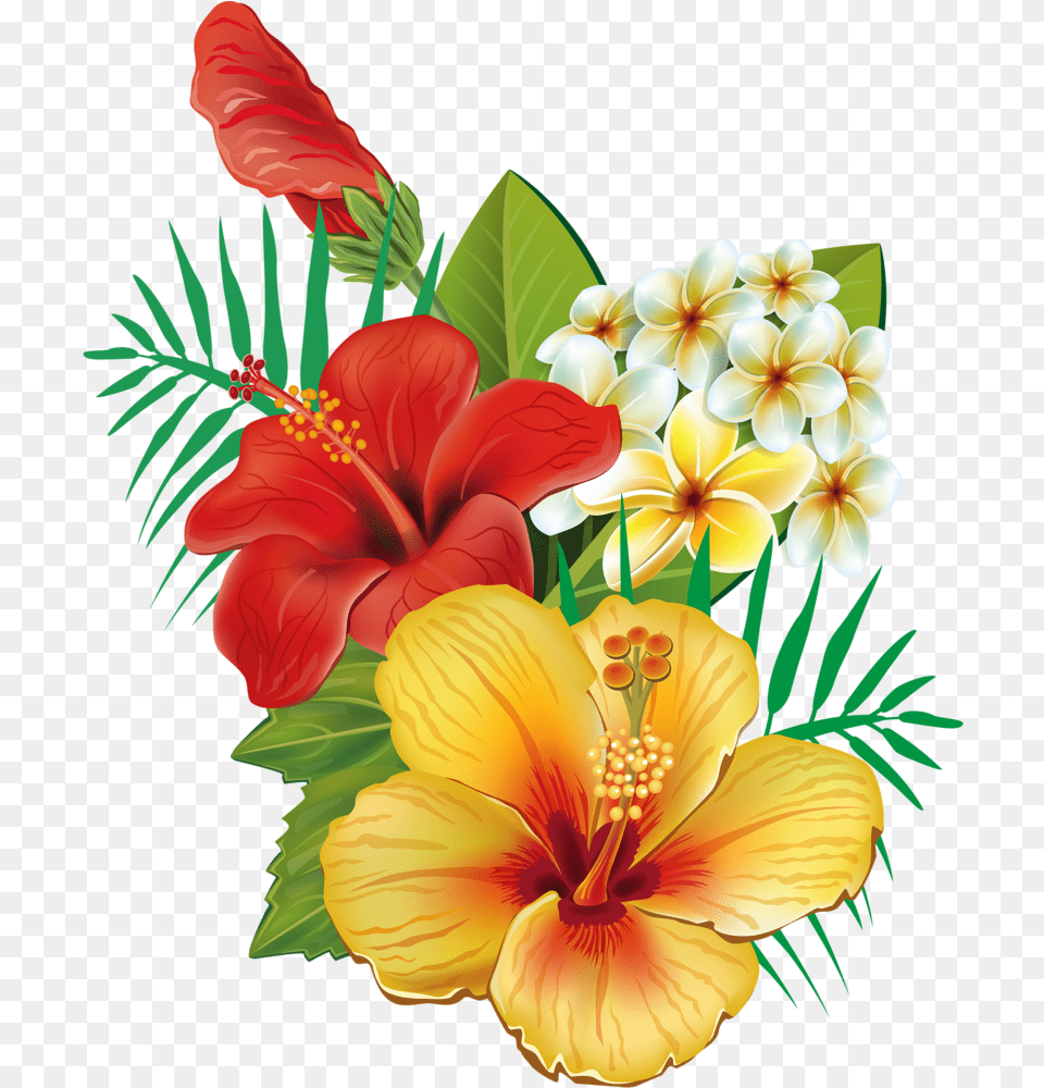 Hawaiian Flowers Hawaiian Flowers, Flower, Plant, Flower Arrangement, Flower Bouquet Png Image