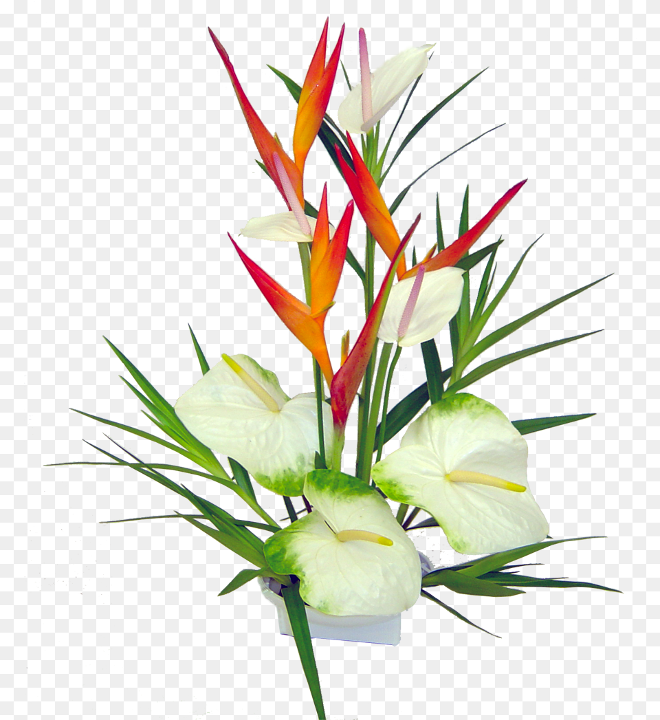 Hawaiian Flowers Hawaiian Tropical Flowers, Flower, Flower Arrangement, Plant, Flower Bouquet Png Image