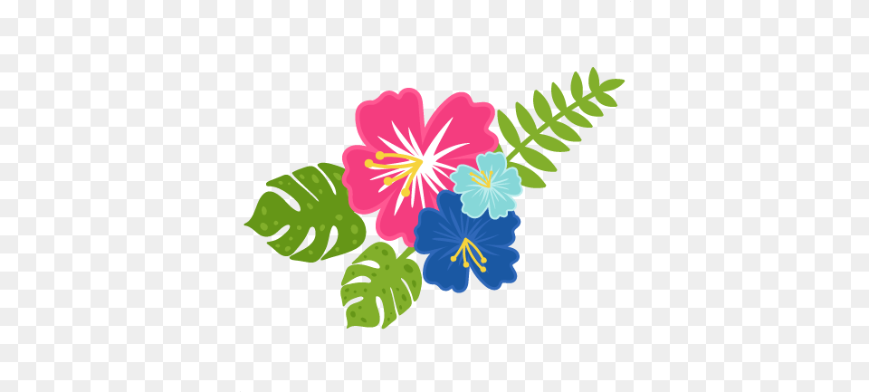 Hawaiian Flowers Scrapbook Cuts Svg Hawaiian Flowers Svg, Flower, Plant, Hibiscus, Geranium Free Png