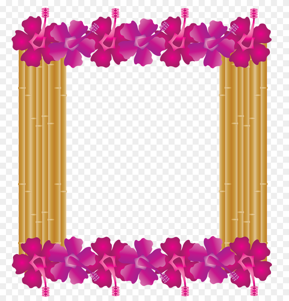 Hawaiian Frame Transparent Images Marco Hawaiano, Flower, Flower Arrangement, Plant, Accessories Free Png Download