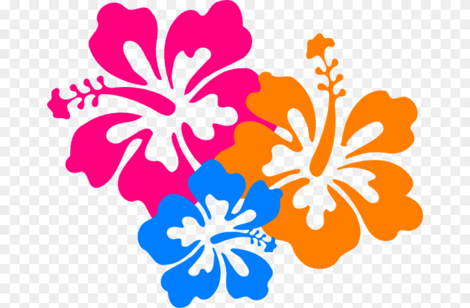 Hawaiian Hibiscus Clip Art Clipart Hawaiian Flowers, Flower, Plant, Person Png