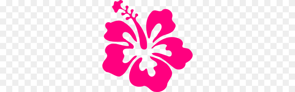 Hawaiian Hibiscus Clipart, Flower, Plant, Person Png Image