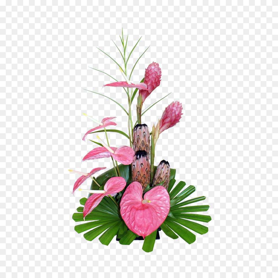 Hawaiian Home Decor Homes Flower Floral Design, Flower Arrangement, Plant, Flower Bouquet Free Png