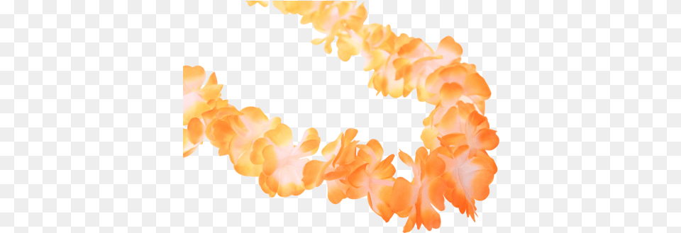 Hawaiian Lei Garland Orange Hawaii, Accessories, Flower, Flower Arrangement, Ornament Png