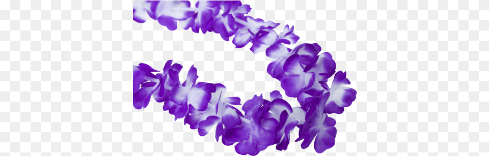 Hawaiian Lei Garland Purple Lovely, Accessories, Flower, Flower Arrangement, Ornament Free Transparent Png