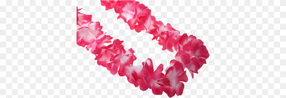 Hawaiian Lei Garlands Colour Event Supplies Running Imp Artificial Flower, Accessories, Flower Arrangement, Ornament, Petal Free Png