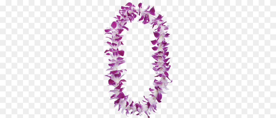 Hawaiian Lei Transparent, Accessories, Flower, Flower Arrangement, Ornament Free Png Download