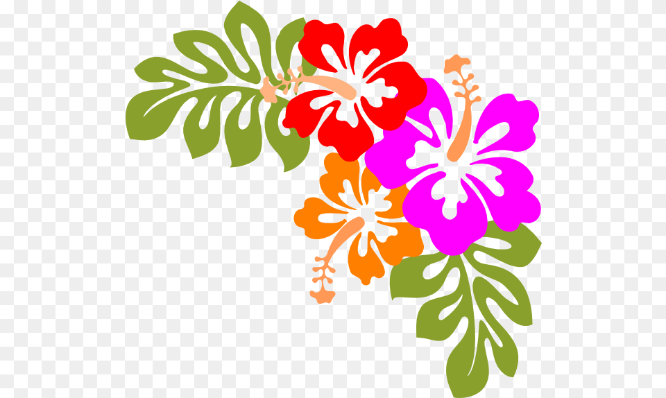 Hawaiian Shirts Cliparts Download Clip Art Hawaiian Flowers Clip Art, Flower, Plant, Hibiscus Png