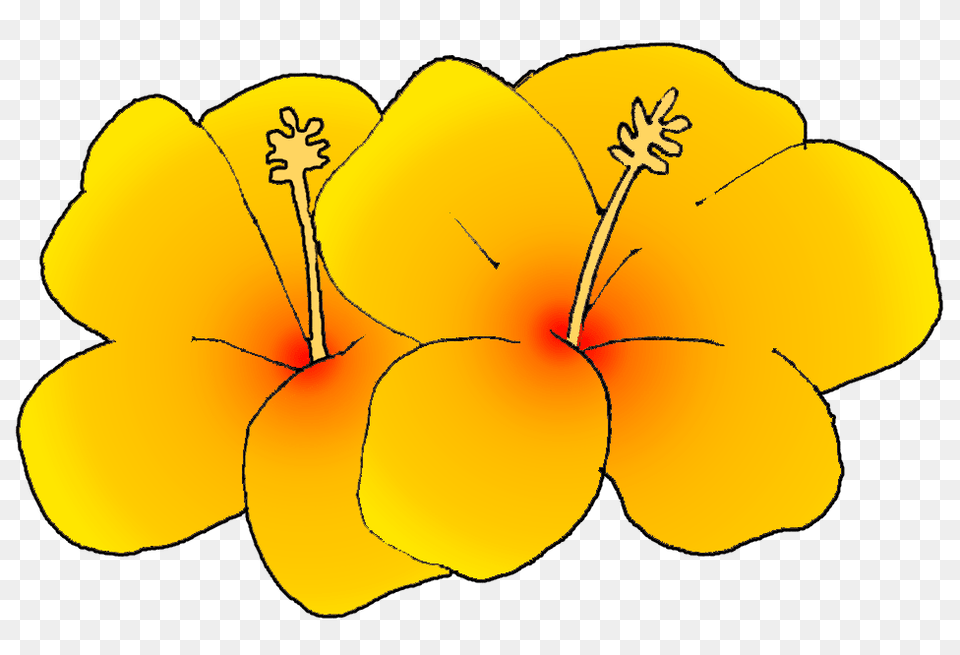 Hawaiin Flower Scrapbooking Flowers Flower, Anther, Plant, Hibiscus, Petal Png Image