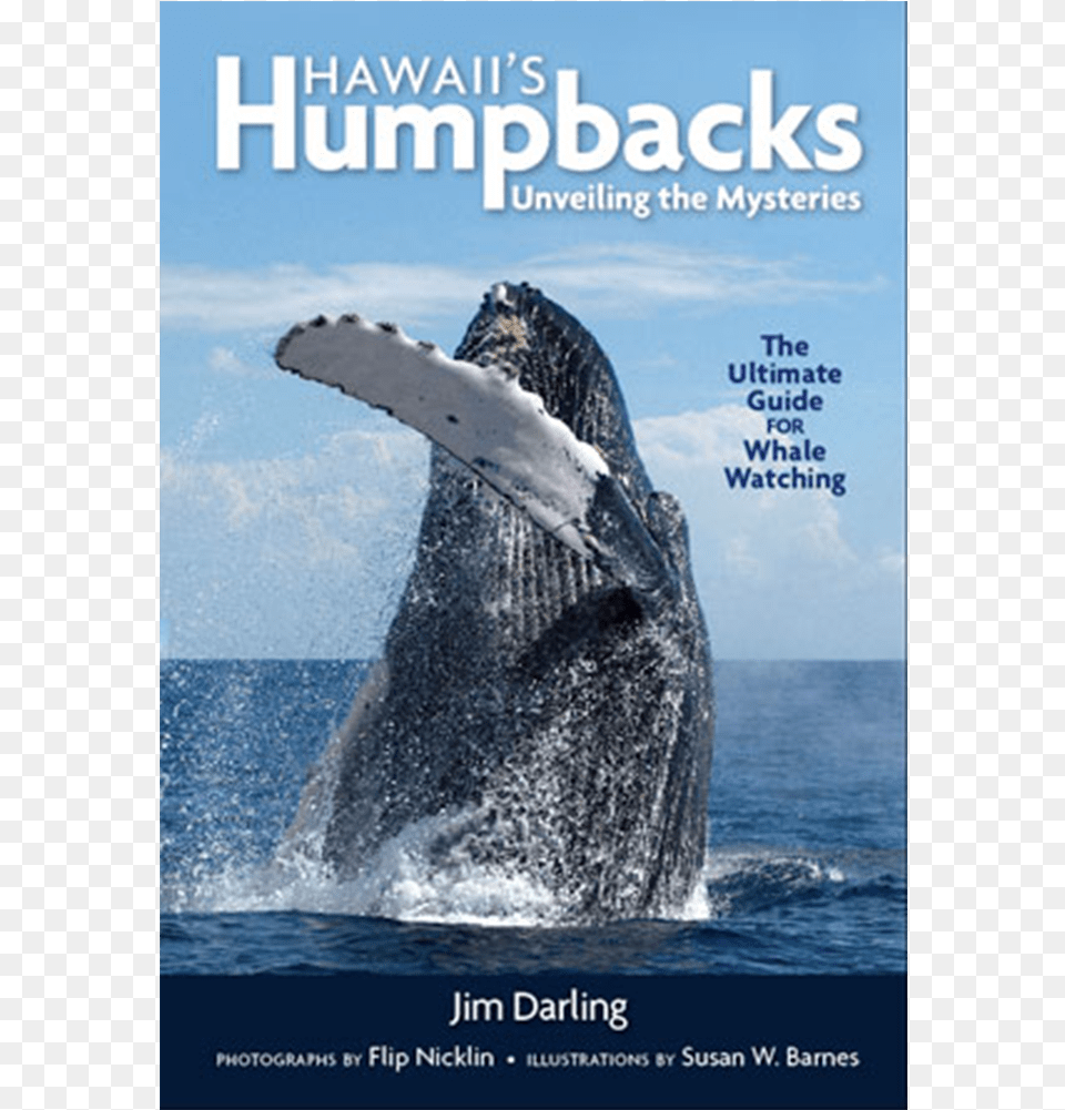 Hawaiis Humpbacks By Jim Darling Phd Hawaii39s Humpbacks Unveiling The Mysteries Book, Animal, Mammal, Sea Life, Whale Free Png Download