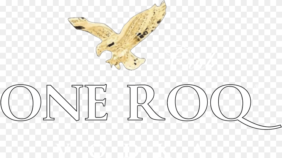 Hawk, Animal, Bird Free Transparent Png