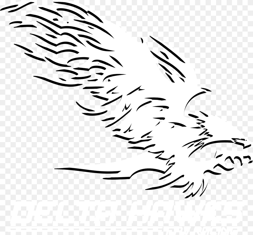 Hawk, Adult, Female, Person, Stencil Png Image