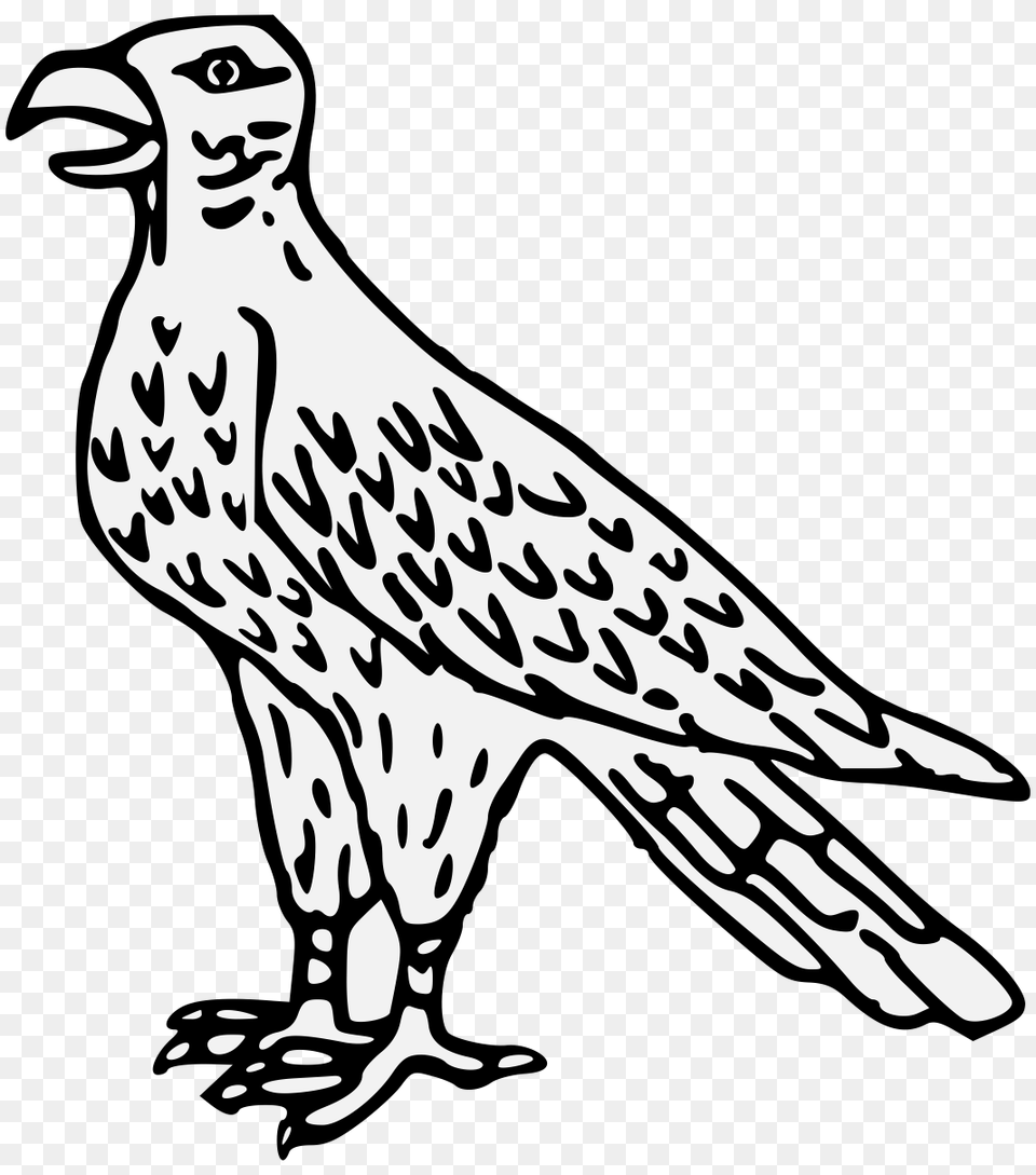 Hawk, Stencil, Art, Animal, Bird Png