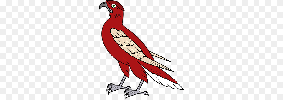 Hawk Animal, Beak, Bird, Cutlery Free Transparent Png