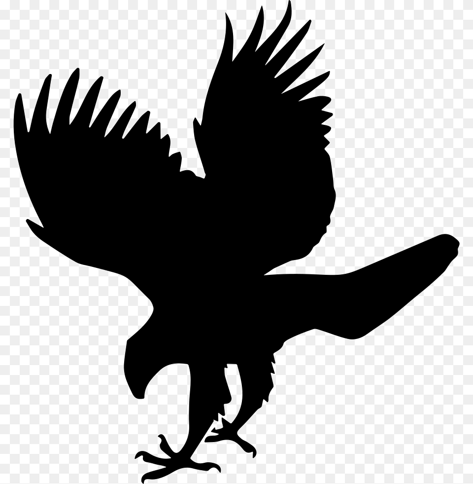 Hawk Bird Animal Shape Hawk Icon, Silhouette, Blackbird Free Png Download