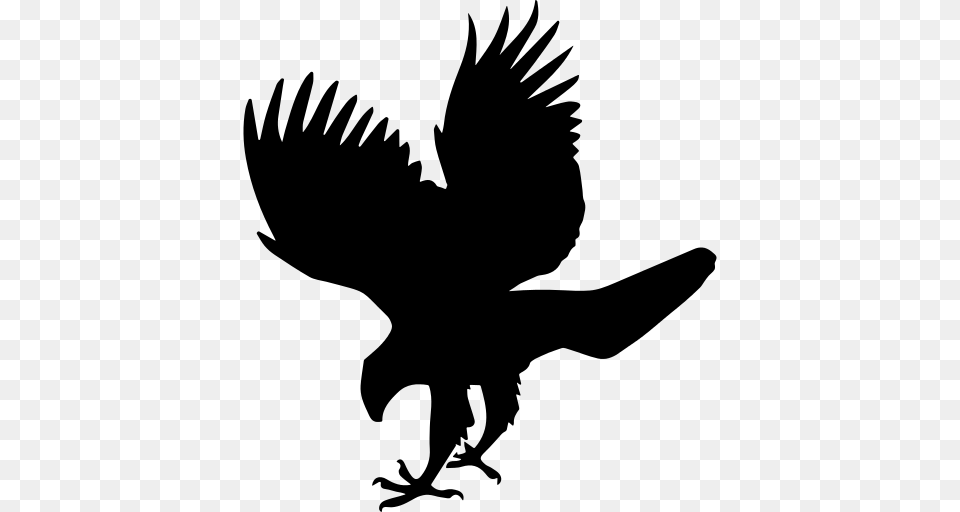 Hawk Bird Animal Shape Icon, Gray Free Transparent Png