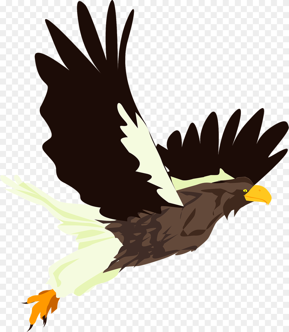 Hawk Bird Clipart, Animal, Eagle, Flying, Beak Png Image