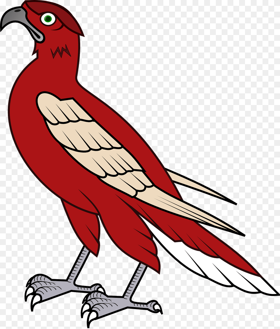 Hawk Clipart, Animal, Beak, Bird, Maroon Free Transparent Png