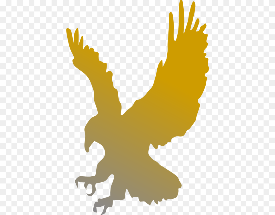 Hawk Clipart, Baby, Person, Animal, Bird Free Transparent Png
