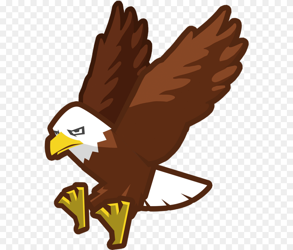 Hawk Clipart Beak, Animal, Bird, Eagle, Baby Free Transparent Png