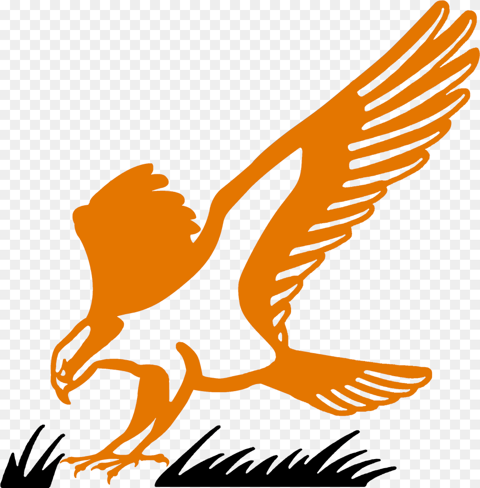 Hawk Clipart Osprey Portable Network Graphics, Animal, Beak, Bird, Vulture Free Png