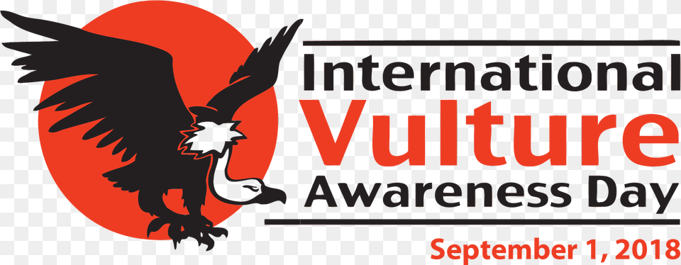 Hawk Clipart Raptor Bird International Vulture Awareness Day 2018, Animal, Fish, Sea Life, Shark Free Png