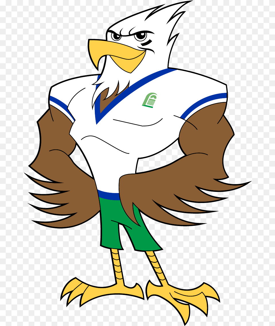 Hawk Clipart Sport Mascot Hawk Mascot, Animal, Beak, Bird, Person Free Png