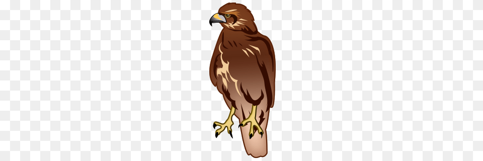 Hawk Emojidex, Animal, Beak, Bird, Buzzard Free Png