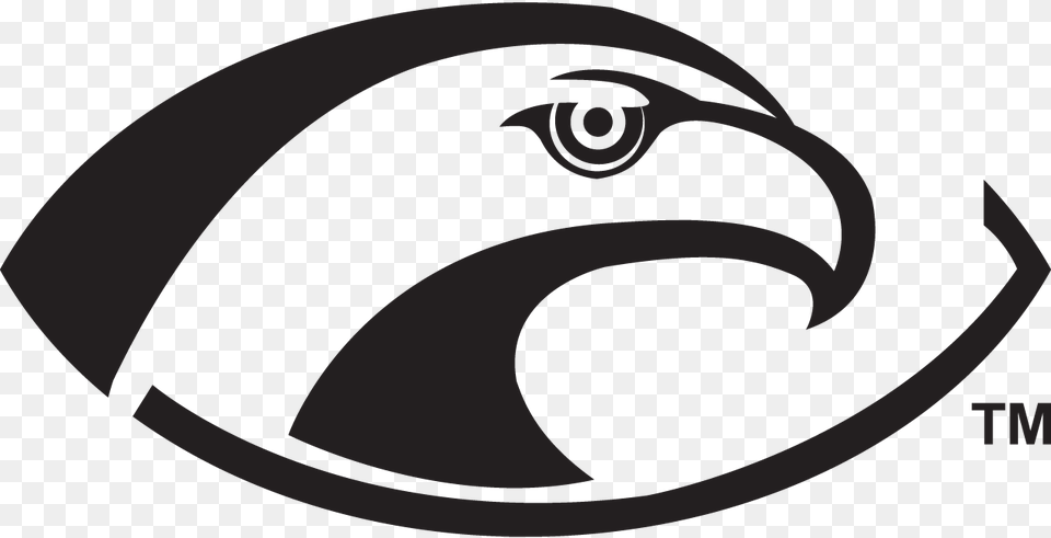 Hawk Eyes Logo, Electronics, Hardware, Disk Free Png Download