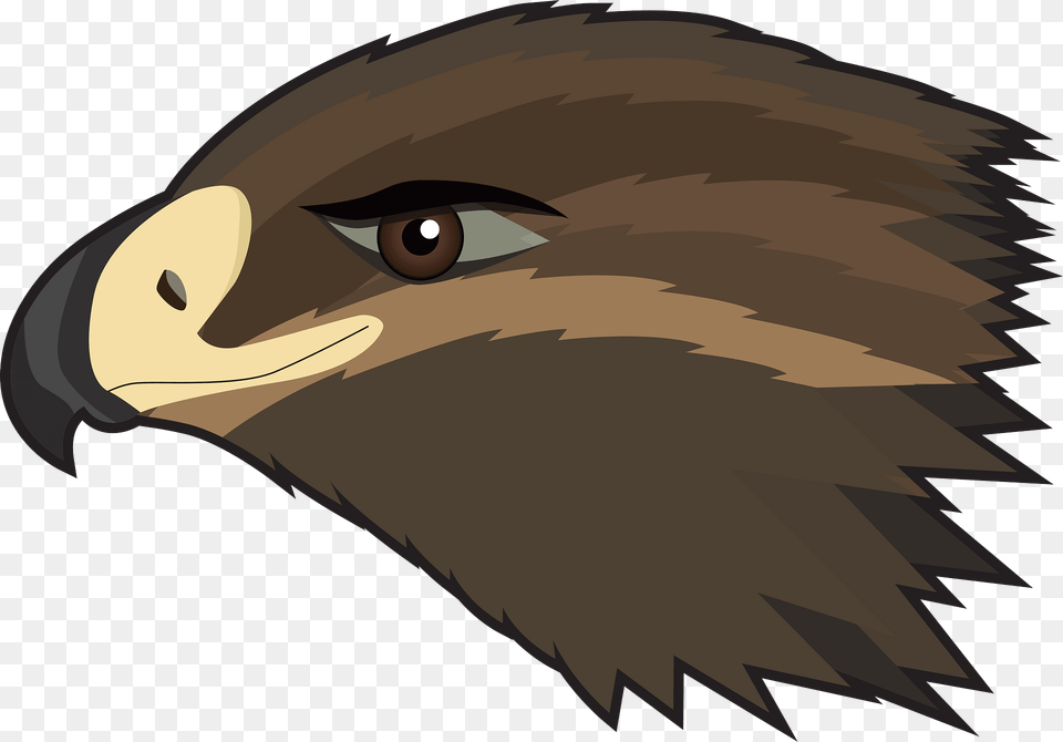 Hawk Face Clipart, Animal, Bird, Eagle, Beak Png
